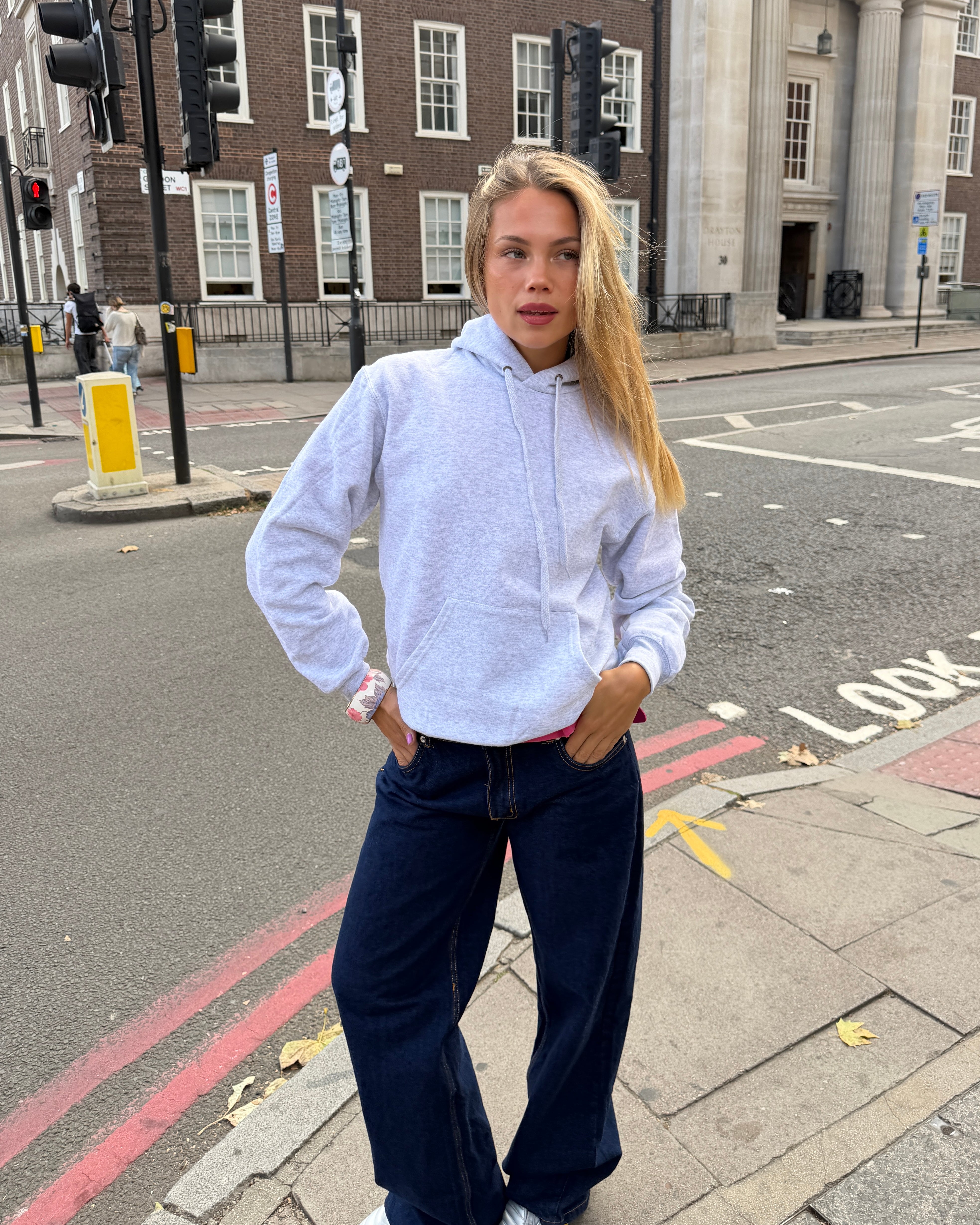 DANA HOODIE (rygprint) - LIGHT GREY