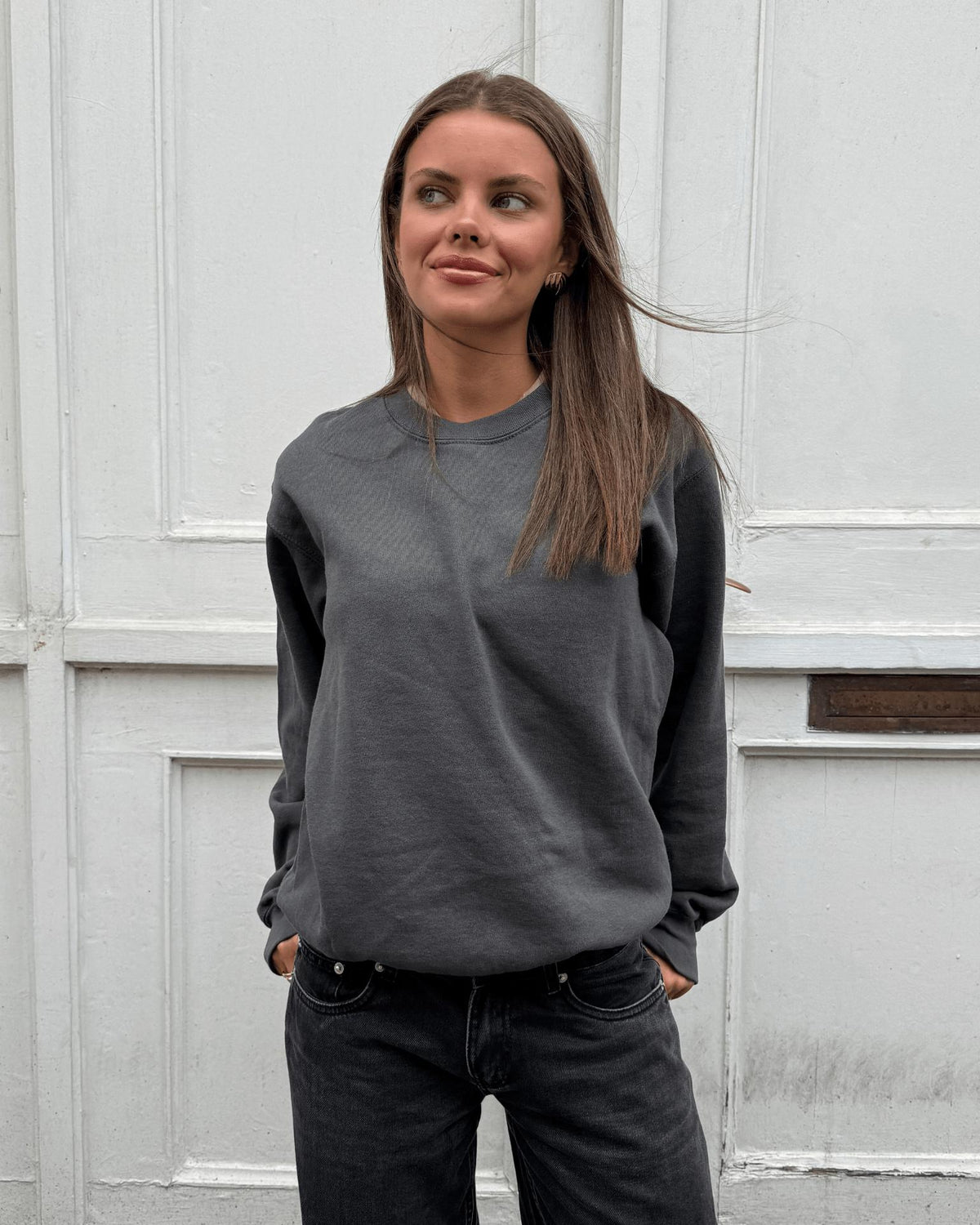 FRUIT SWEATSHIRT - DARK GREY