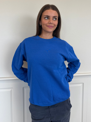 FRUIT SWEATSHIRT - BLÅ