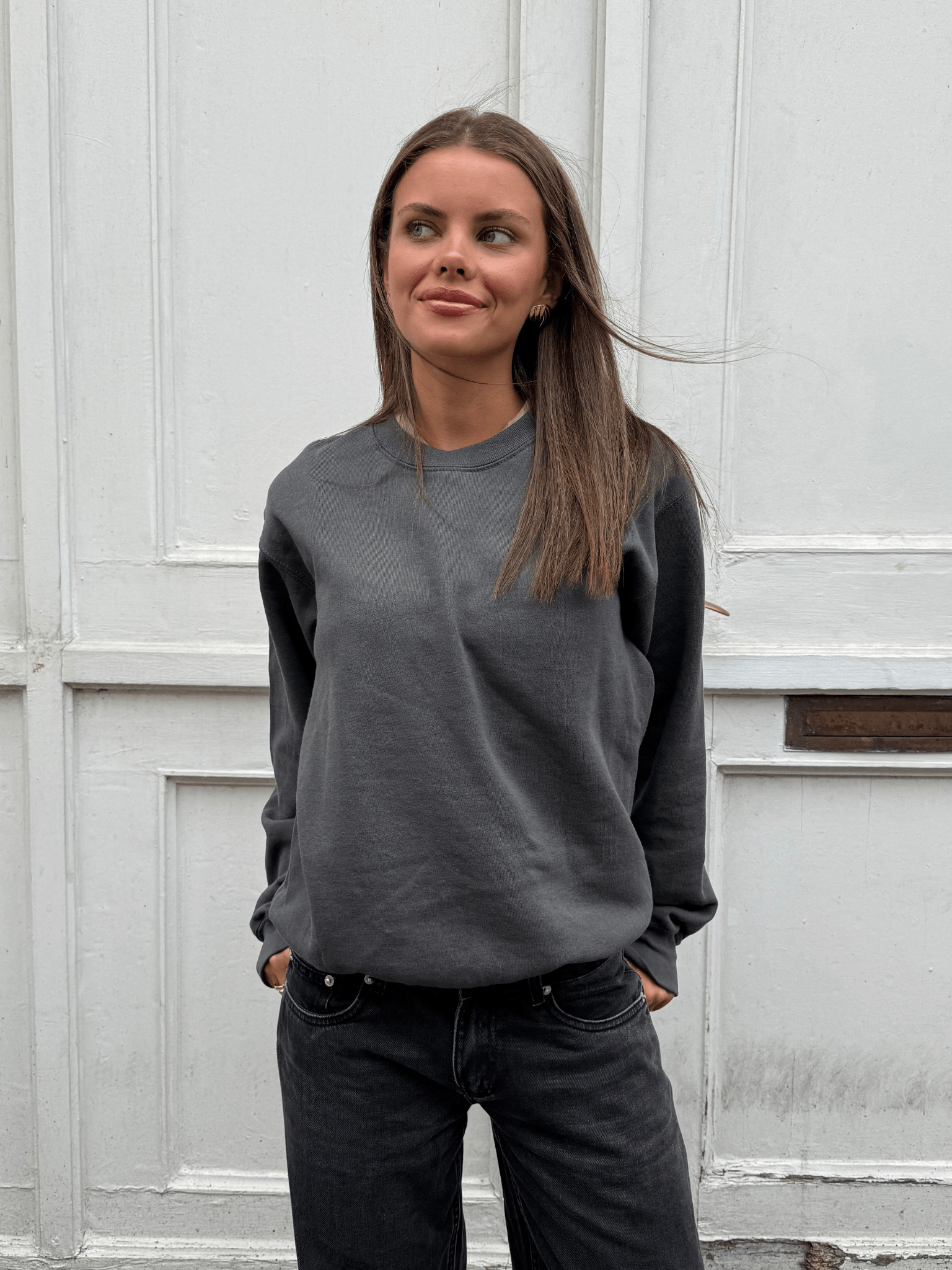 FRUIT SWEATSHIRT - DARK GREY
