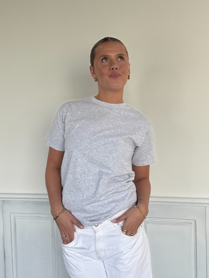 GREY LEOSTAR UNISEX T-SHIRT (rygprint) - GRÅ