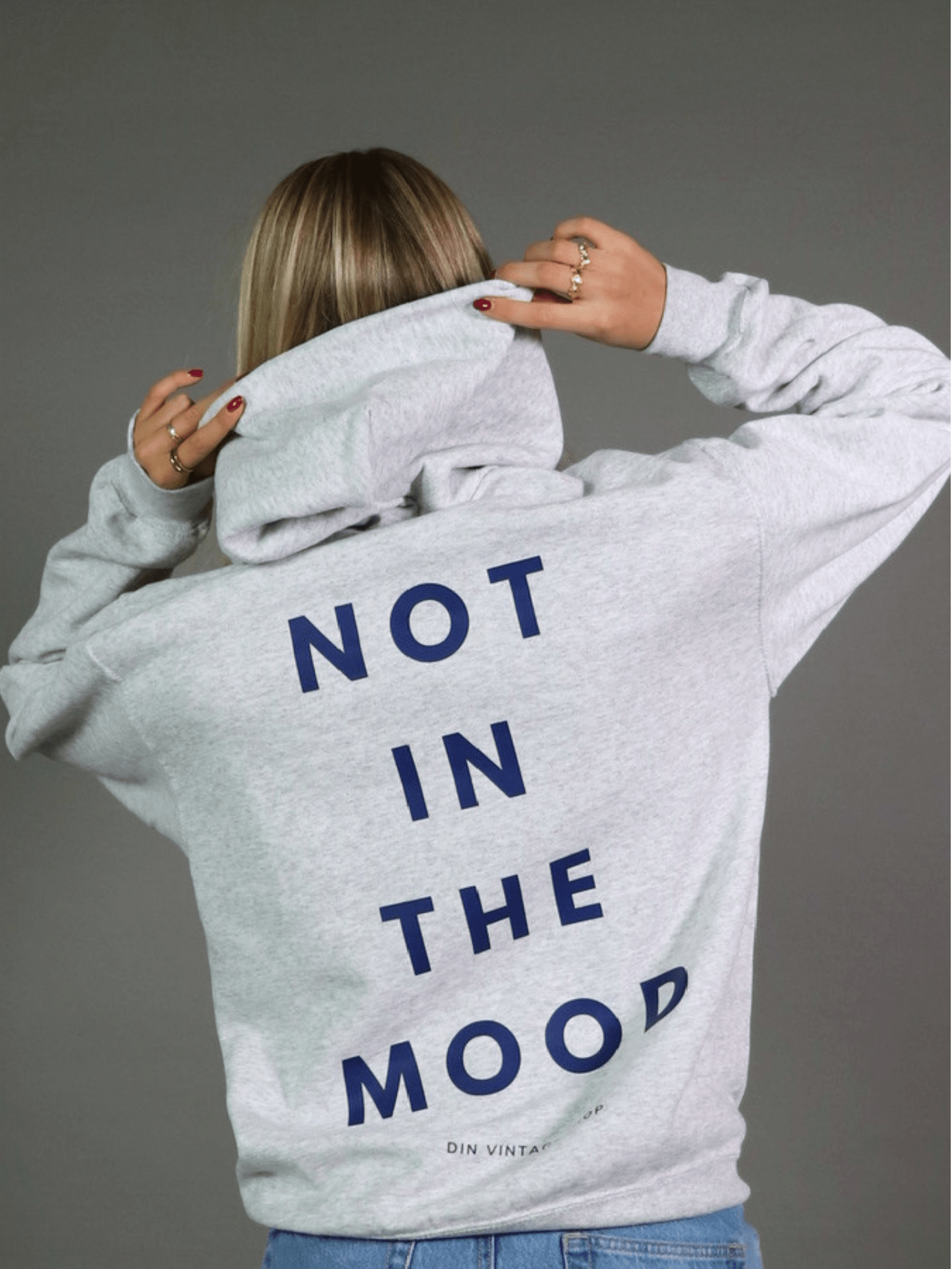 NOT IN THE MOOD Hoodie (Rückendruck) - GRAU
